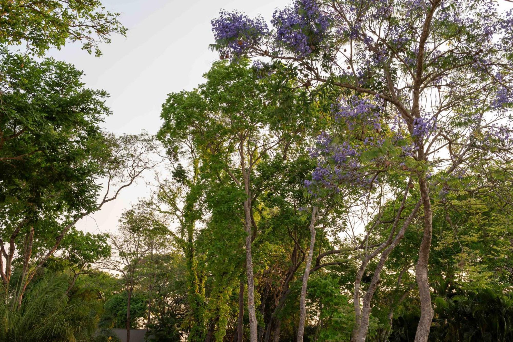 Spa Agua Milagrosa Cuiabá Zewnętrze zdjęcie