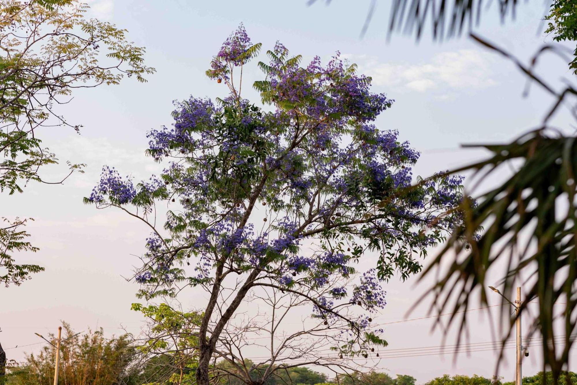 Spa Agua Milagrosa Cuiabá Zewnętrze zdjęcie