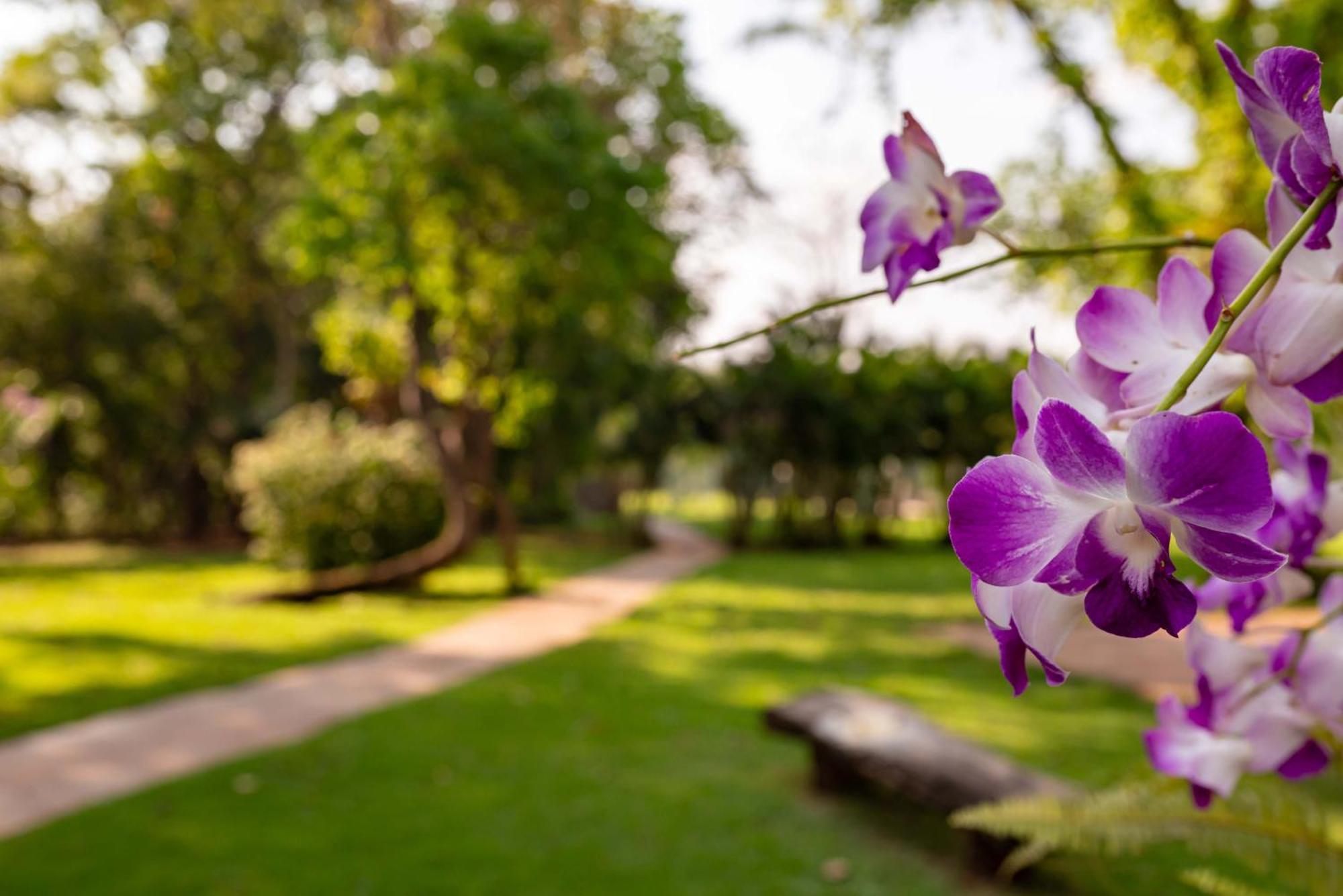 Spa Agua Milagrosa Cuiabá Zewnętrze zdjęcie
